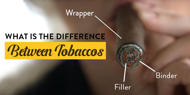 Differences Between Tobacco