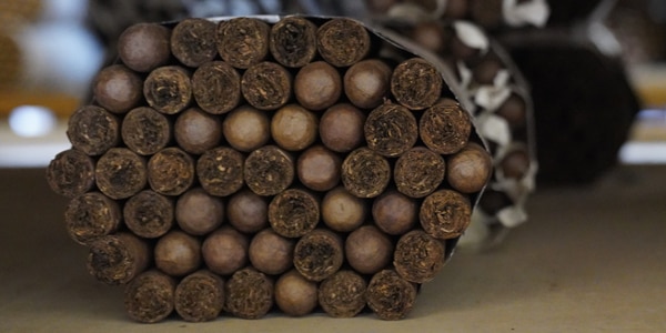 Cigars wrapped and let to age